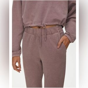 Aritzia Mauve Ankle Cropped Pants